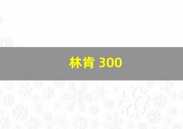 林肯 300